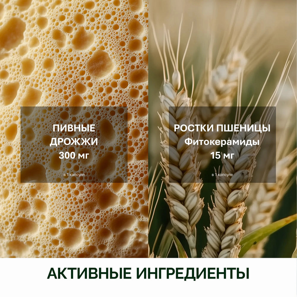 NFO® Амино Комплекс